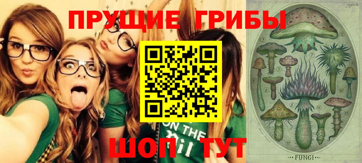 Галлюциногенные грибы Psilocybine cubensis  Вход с VPN  Донской 
