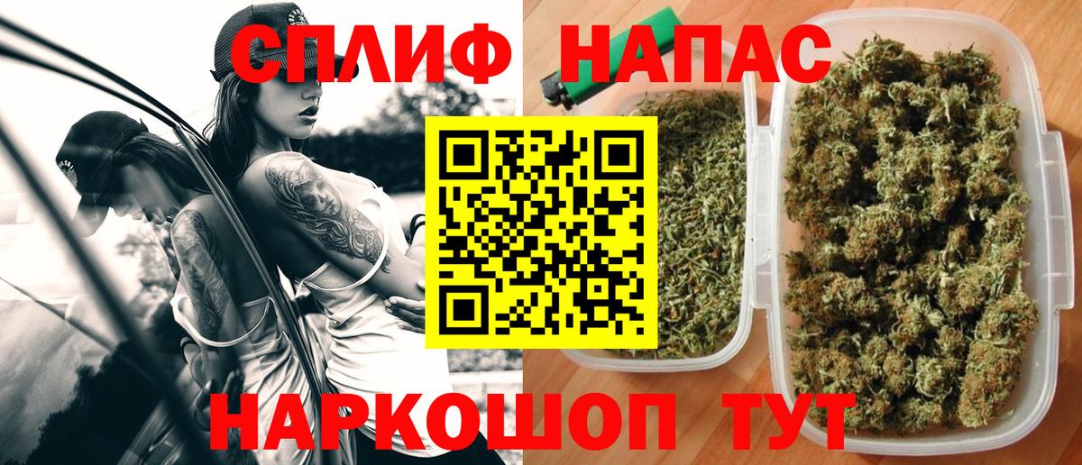 Канабис гибрид Донской